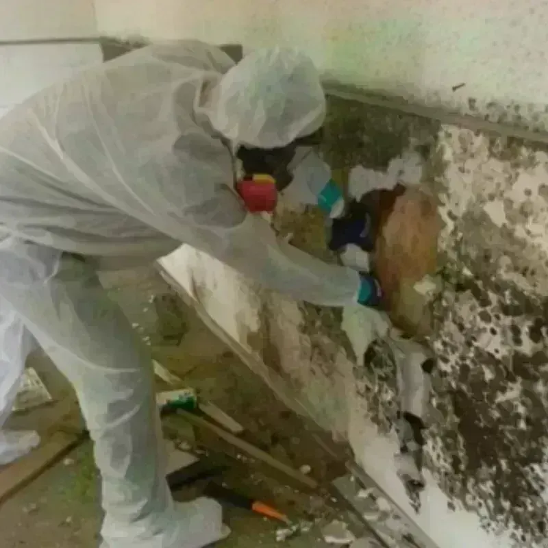 Mold Remediation and Removal in Sand Lake, MI