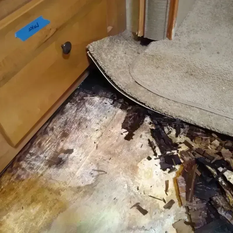 Wood Floor Water Damage in Sand Lake, MI